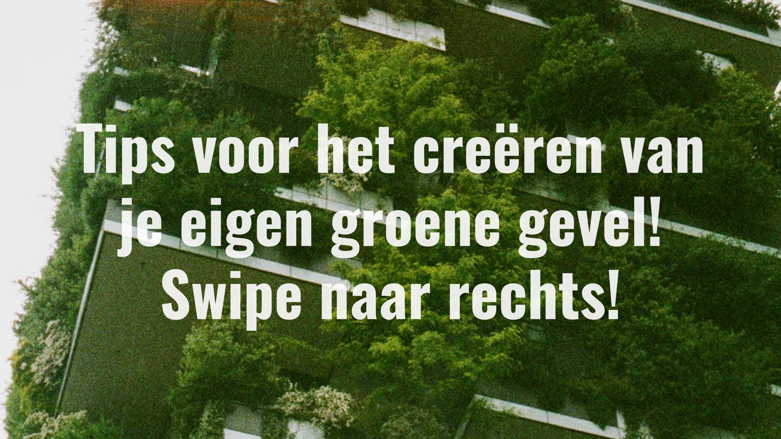 Tips voor het creëren van je eigen groene gevel