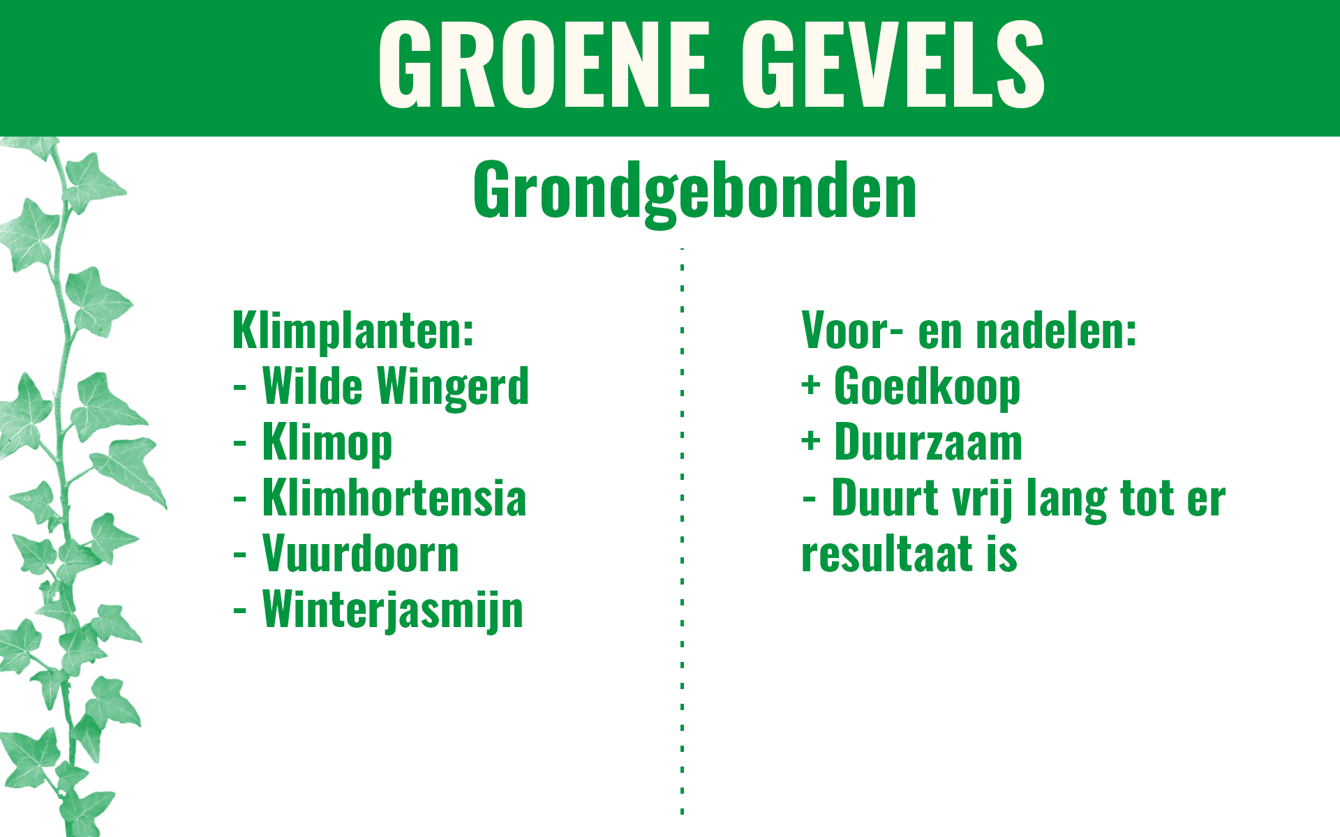 Groene gevels: grondgebonden klimplanten en voor- en nadelen