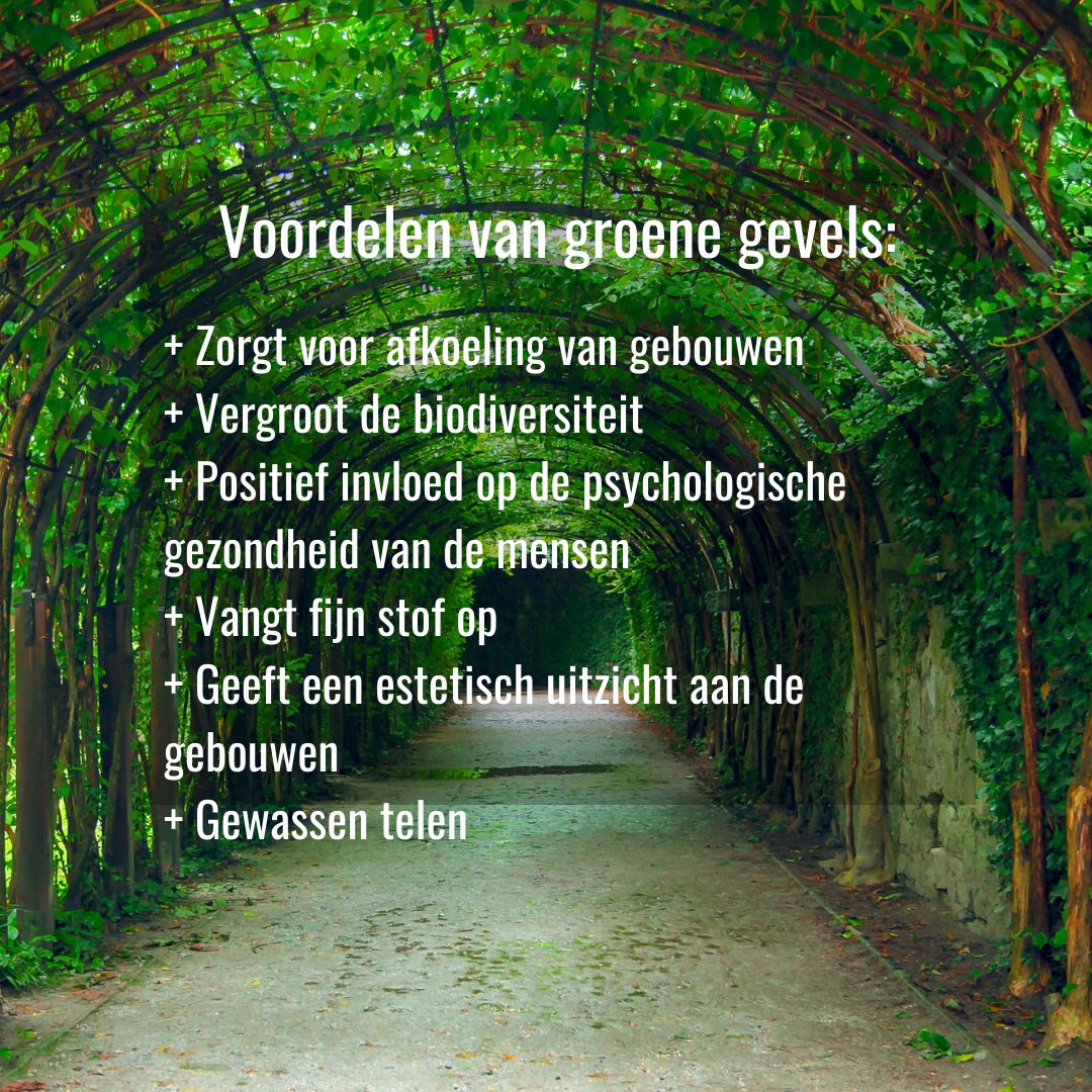 Voordelen van groene gevels